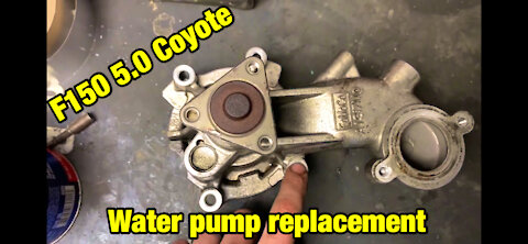 F150 5.0 Coyote water pump replacement