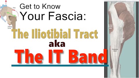 Get to Know Your Fascia: The Iliotibial Tract aka The IT Band