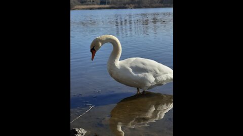 Wow, it's very happy today the sun is shining and playing in the water.