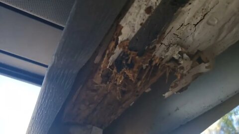 Termite damaged carport structure concealed by aluminum siding.