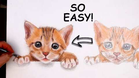 Easiest way of blending colored pencils. Cute kitten