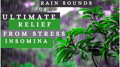 1 Hours of ULTIMATE Relaxing Rain Sounds-Deep Sleep, Concentration, Stress Relief and Harmony