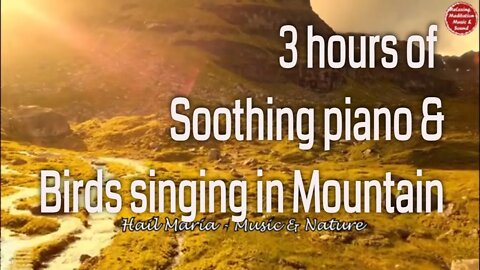 Soothing music with piano and singing birds for 3 hours, music to promote positive energy