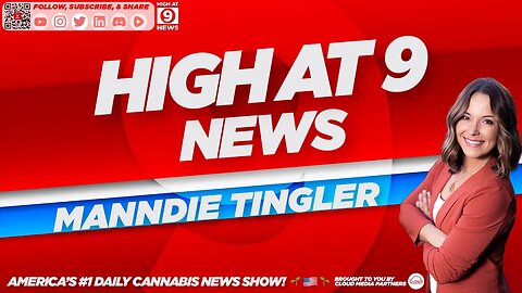 High At 9 News : Manndie Tingler - Man claims cannabis addiction lead to child porn conviction