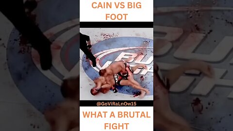 CAIN VELASQUEZ VS ANOTNIO BIG FOOT KNOCKOUT