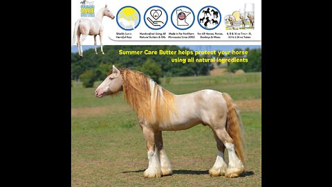 The Blissful Horses Summer Care Butter All Natural Sun Support for Your Horse