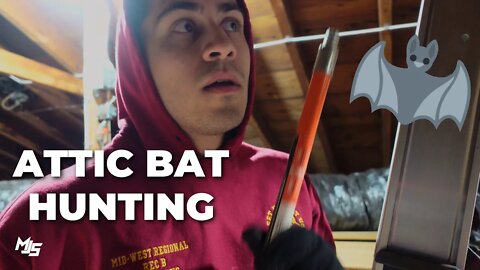 Looking For Bats In Our Attic! | Our First Home: Ep. 55