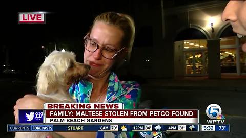 Owner reunited with dog stolen from Petco in Palm Beach Gardens