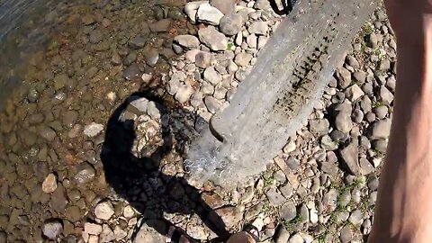 Cast netting the river