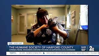 We're Open: The Humane Society of Harford County