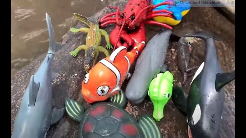 Sea Animal Toys This Summer at the Shore