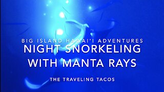 Night Snorkeling with Manta Rays - The Traveling Tacos - Kona, Hawai'i Vacation