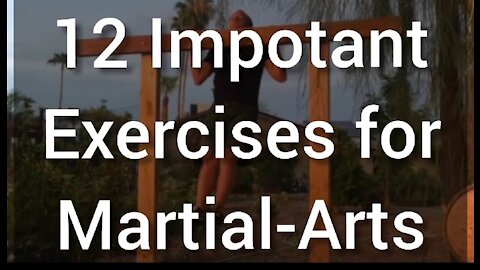 12 USEFUL EXERCISES FOR MARTIAL-ARTS