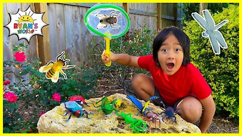 Ryan's Bug Hunting the backyard at home Pretend Play!!