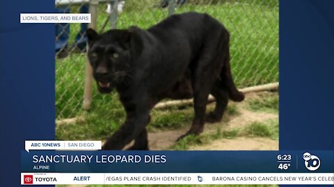 Alpine animal sanctuary mourns loss of leopard