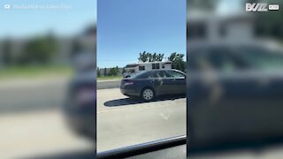 Jeep tows toy tractor on huge trailer