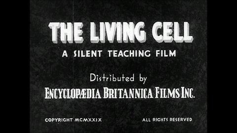 Microscopic Single-Celled Organisms (1945 Original Black & White Film)