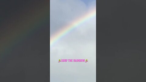 SPINNER DOLPHINS SWIMMING THROUGH THE RAINBOW GATE OF ALOHA