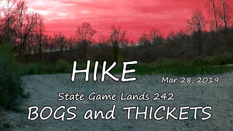 Hike - Bogs and Thickets at State Game Lands 242