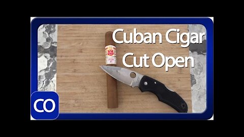 Cuban Hoyo De Monterrey Epicure No 1 Cut Open Real Or Fake