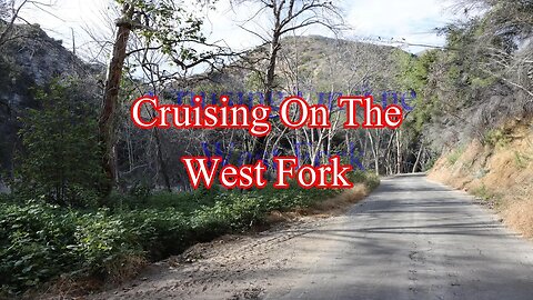 Cruising on the West Fork Road