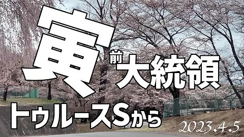 トランプ前大統領🐯トゥルースSから～4月5日出廷前[日本語朗読]050405