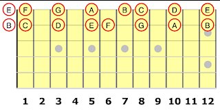 The 1st String for the Guitar Student