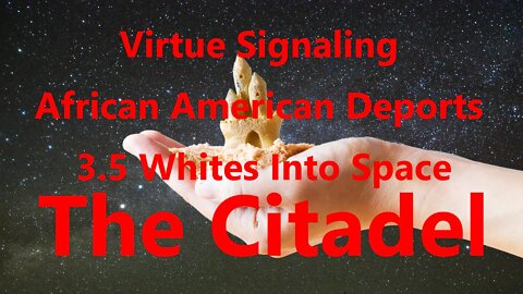 Virtue Signaling African American Deports 3.5 Whites Into Space