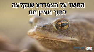 משל הצפרדע במעיין החם - סיפור עם מסר לחיים