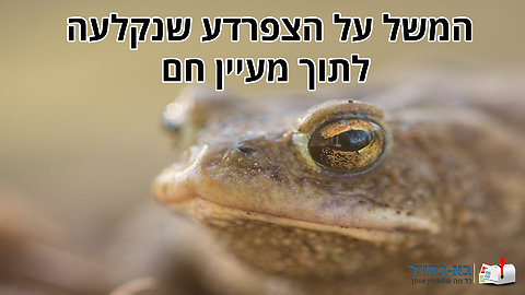 משל הצפרדע במעיין החם - סיפור עם מסר לחיים