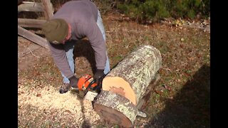 #R014 Processing Green Logs into Woodturning Blanks