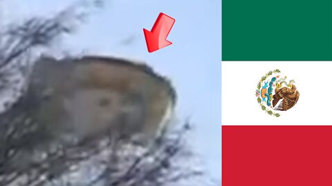 Sighting of a saucer-shaped UFO over Mexico [Space]