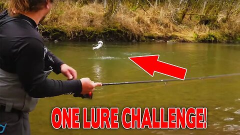 One LURE Winter STEELHEAD Fishing CHALLENGE!