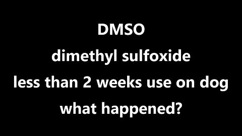 DMSO dimethyl sulfoxide less than 2 weeks use on dog what happened?