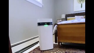 Can an air purifier help kill COVID-19 particles?