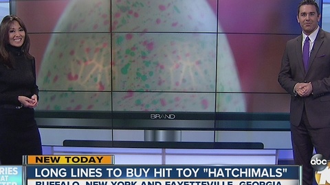 Long lines to buy hit toy "Hatchimals"