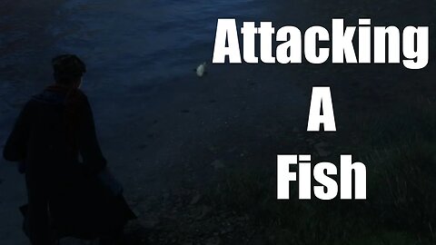 Hogwarts Legacy What Happens If You Attack A Fish