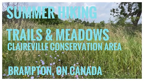 Summer Wildflowers & Meadows| Claireville Conservation Area | Brampton, ON 🇨🇦|Hiking Vlog |Relive