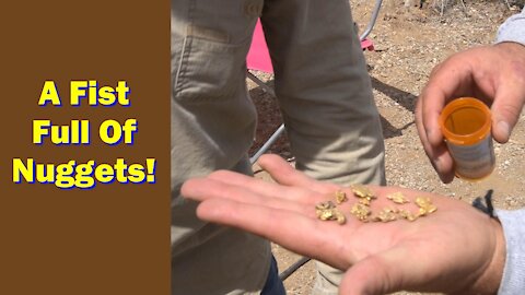 Finding Lots of Gold Nuggets In The Desert