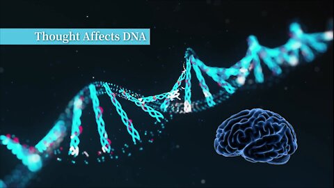 O Segredo da Rádio do DNA