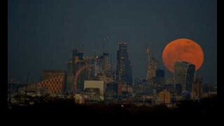 Time-lapse: superluna blu sangue nei cieli di Londra