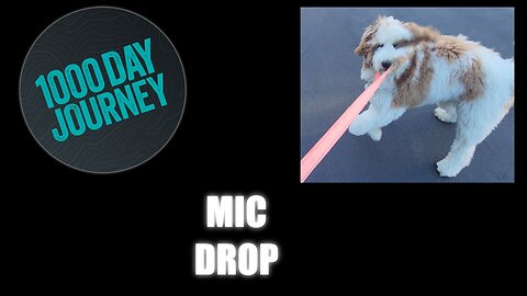 1000 Day Journey 0191 Mic Drop