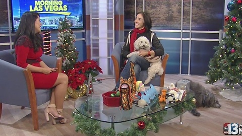 Tips for holiday pet safety