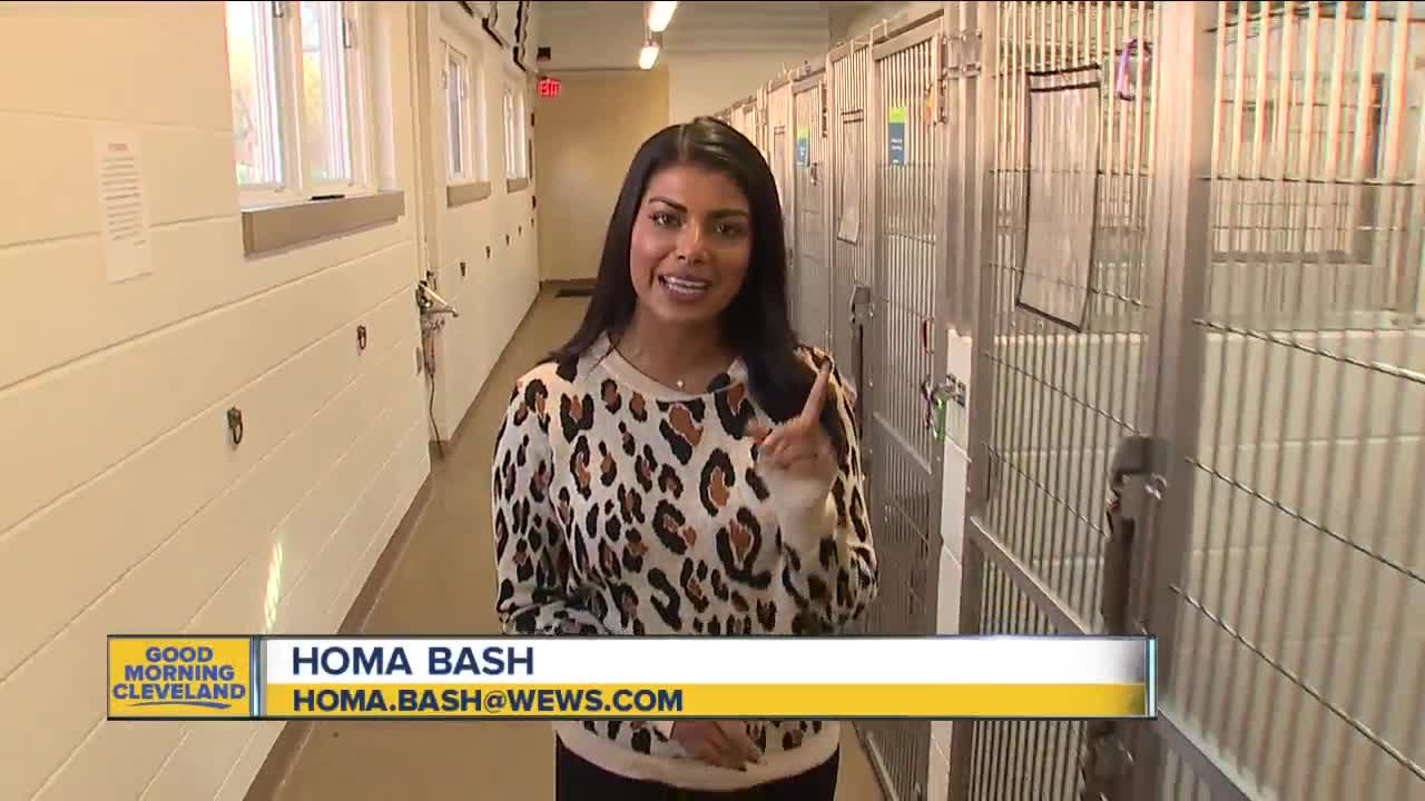 Jailed young men get chance to bond with, take care of animals at Geauga County humane society