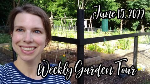 Raised Bed Garden Tour | June 15, 2022