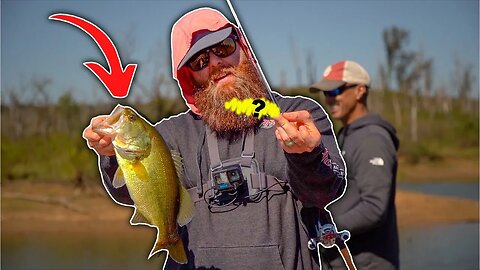 SO MANY people are WRONG about fall bass fishing…