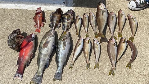 Coastal Fishing the Cali waters