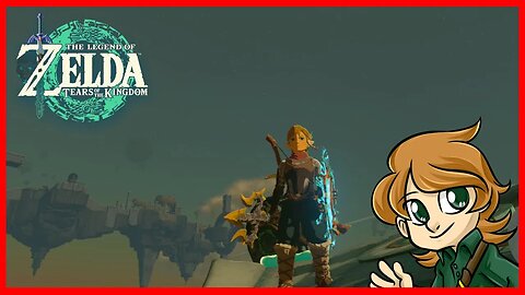 To the Sky! - TLoZ: Tears of the Kingdom Blind - 9