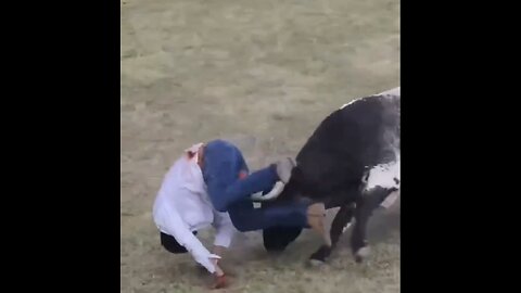 MAN GORED🏃‍♂️🐃BY RAGING BULL AT RODEO🐃🧎‍♂️🚑💫