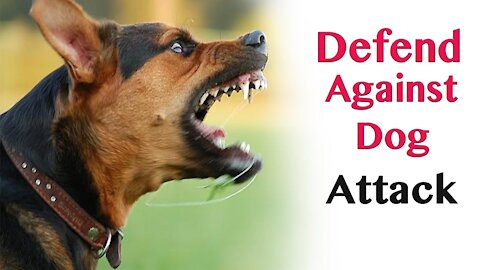 how to defend your self from a dog attack!!